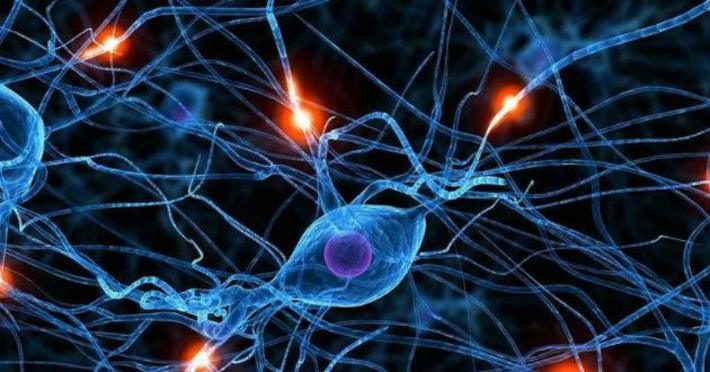 Cercetătorii americani au creat un dispozitiv biodegradabil care contribuie la regenerarea nervilor