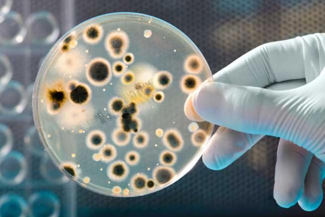 Un nou tratament împotriva tuberculozei multirezistente