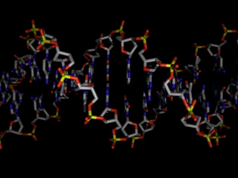 Studiu. Gena anticancer și dezvoltarea anumitor tipuri de  tumori