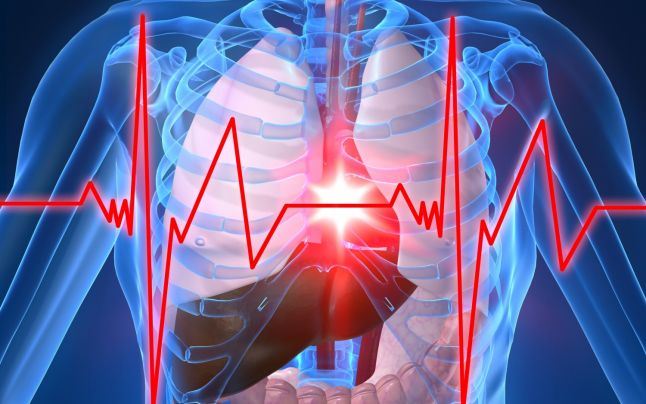 Celulele stem ar putea ajuta la „repararea” inimilor afectate de infarct