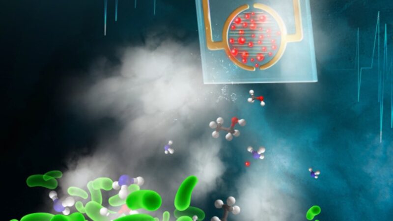 Bacteriile, detectate cu un nas artificial
