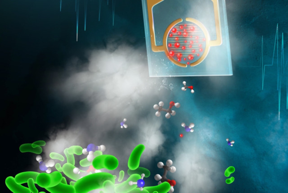 Bacteriile, detectate cu un nas artificial