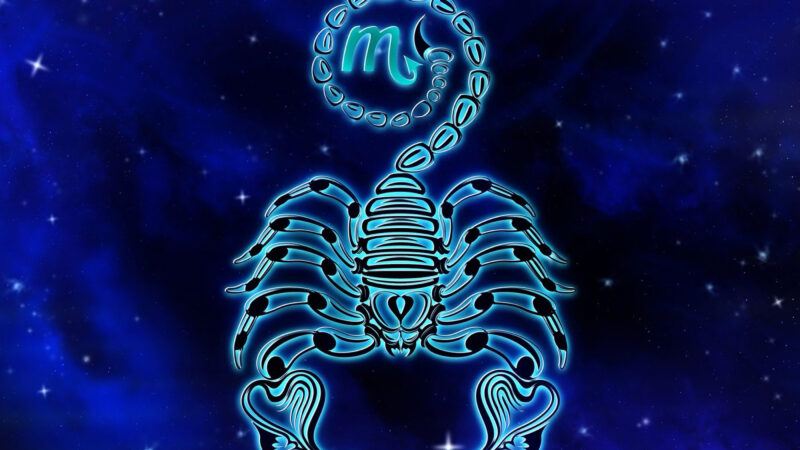 Zodia Scorpion