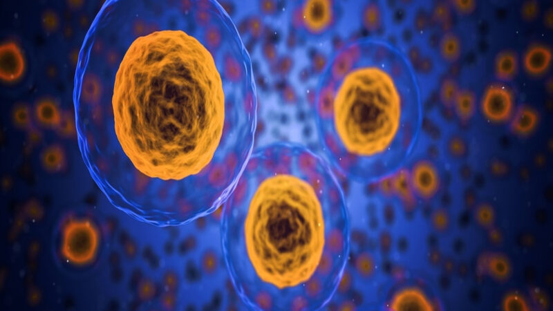 Un sistem anti-cancer din celulele umane, descoperit de o echipă de cercetători israelieni. Studiu