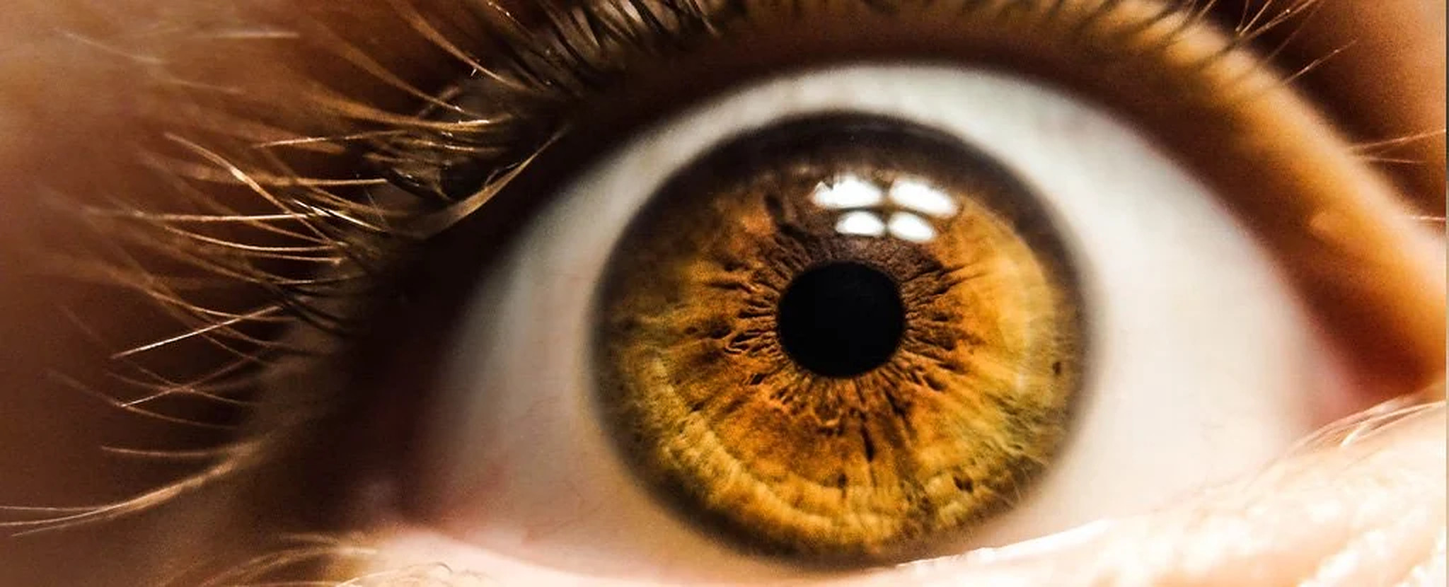 Ochii pot dezvălui dacă o persoană suferă de afantazie – o absență a imaginilor în minte