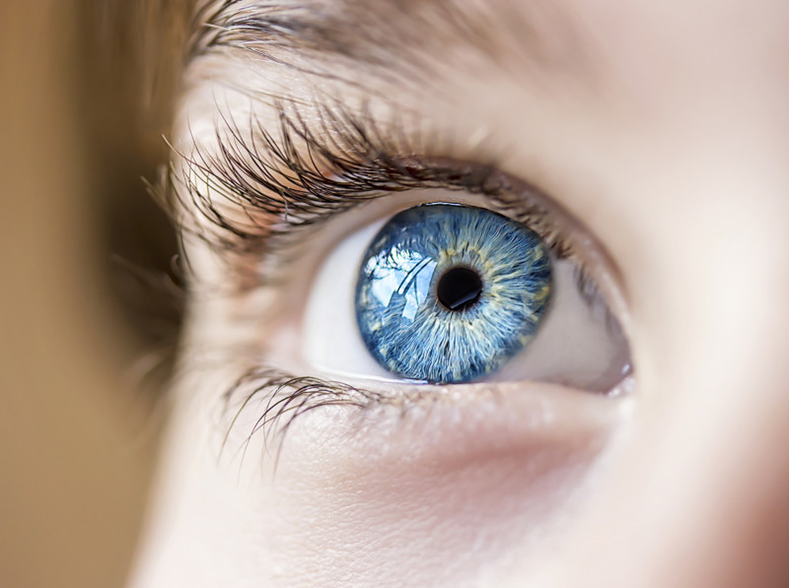 Oamenii cu ochi albaștri au un singur strămoș comun