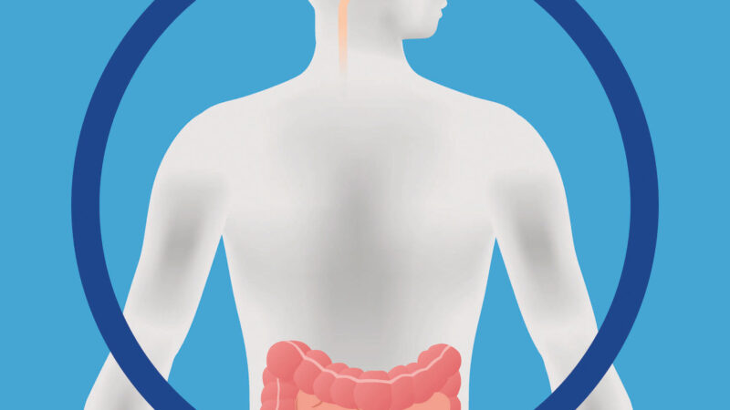 Care este legătura dintre intestine și sănătatea creierului? Explicațiile specialiștilor de la Harvard
