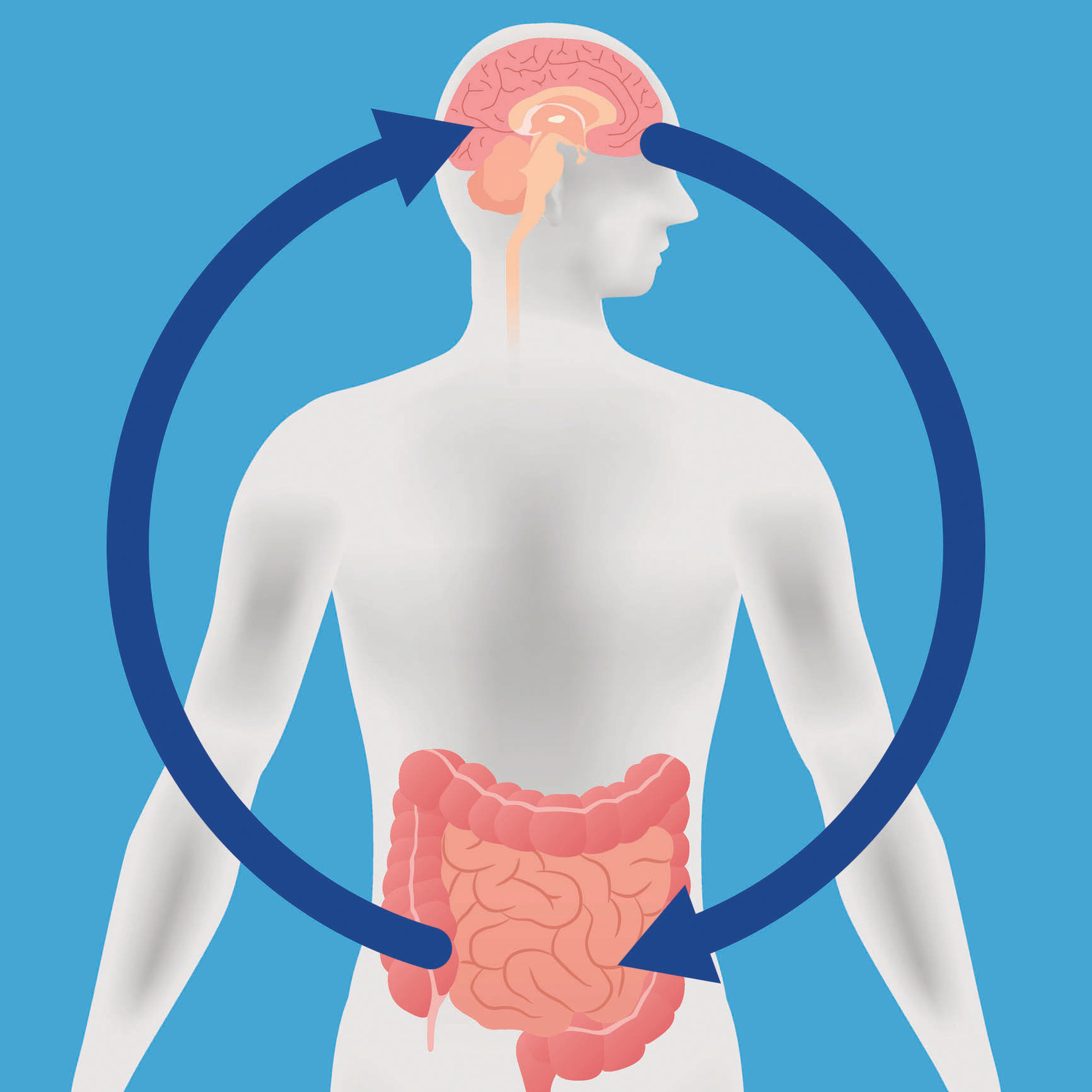 Care este legătura dintre intestine și sănătatea creierului? Explicațiile specialiștilor de la Harvard