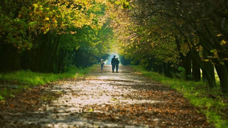 Anxietatea de toamnă. De ce, uneori, ne simțim mai stresați în acest sezon