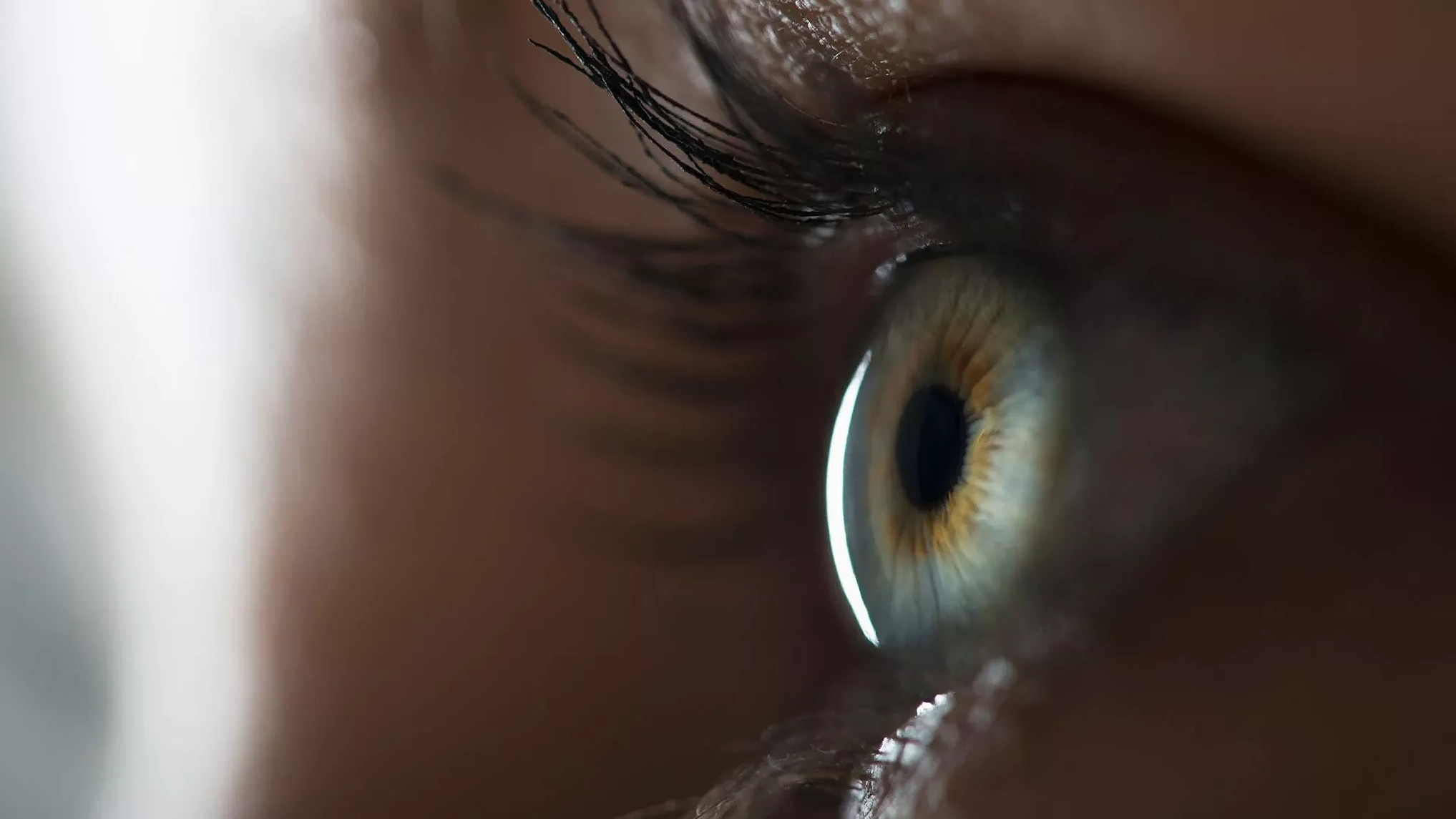 O nouă terapie genetică ar putea restabili vederea nocturnă a persoanelor cu afecțiuni oculare moștenite