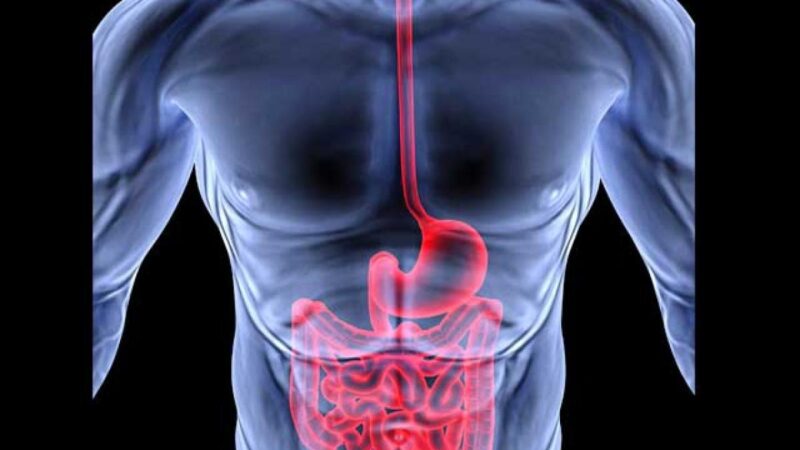 Refluxul gastroesofagian și arsurile la stomac