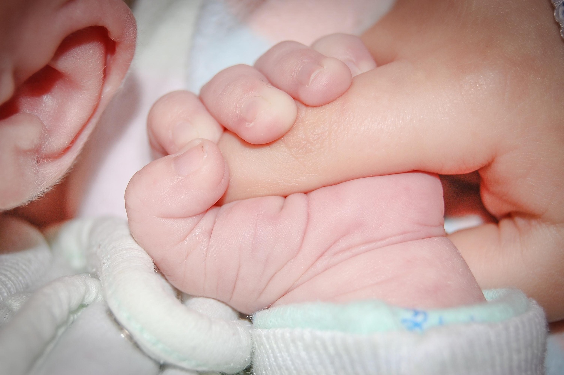 Longevitatea ar putea începe înainte de naștere. Noua teorie care schimbă modul în care privim îmbătrânirea