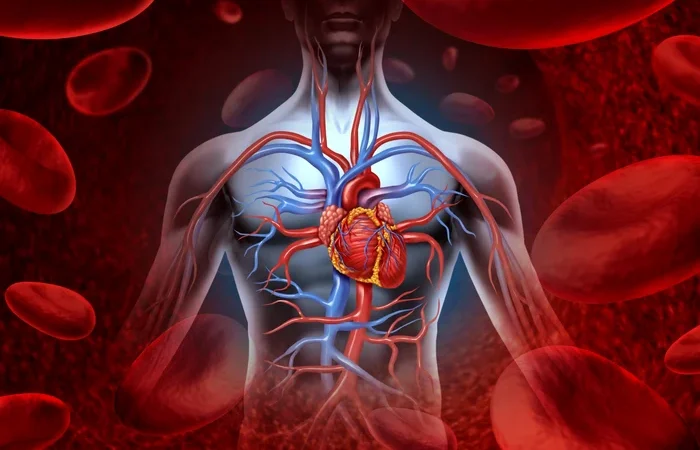 Anatomia nu și-a încheiat încă povestea. Harta corpului uman nu este completă