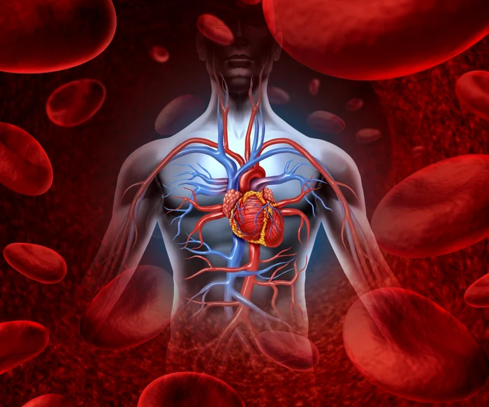 Anatomia nu și-a încheiat încă povestea. Harta corpului uman nu este completă