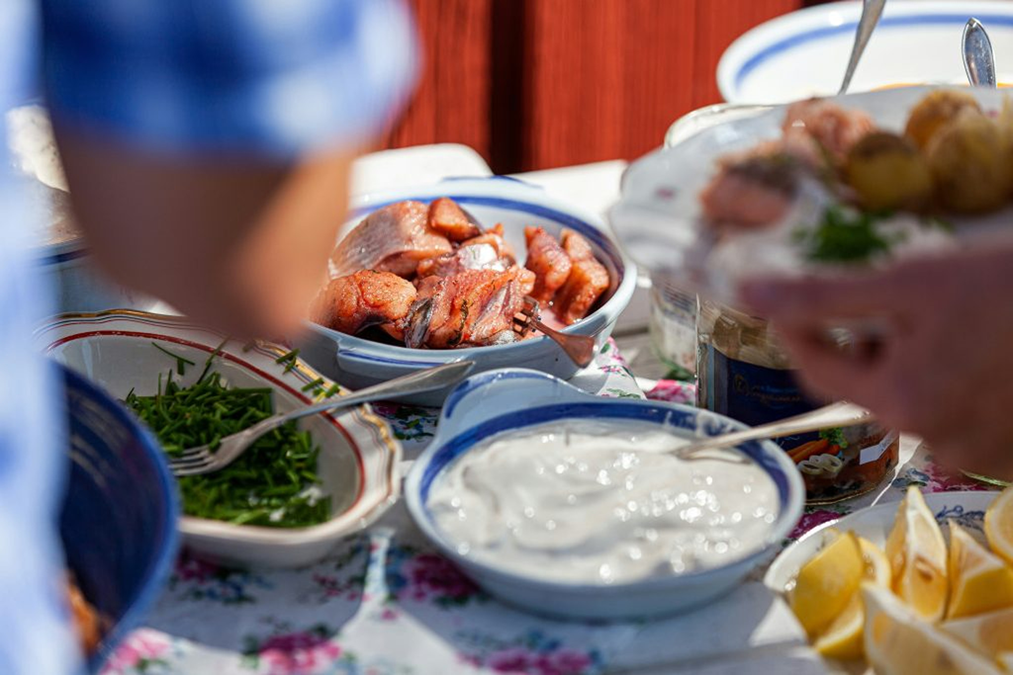 Dieta nordică, o alternativă la modelul mediteranean