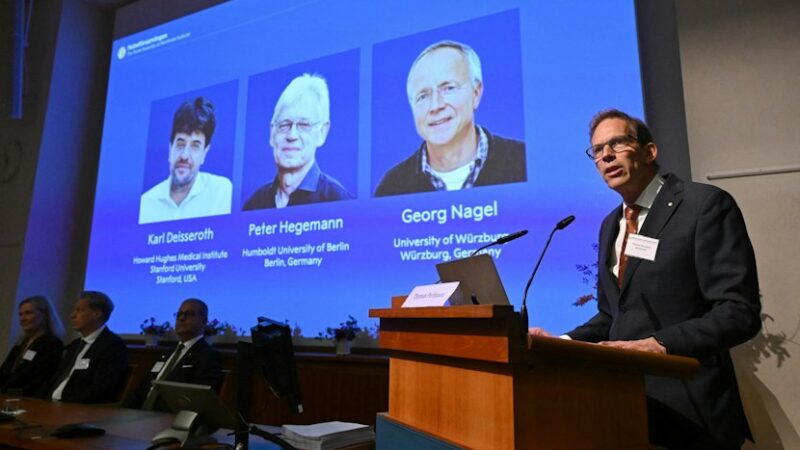 Premiul Nobel pentru Medicină 2026. Trei cercetători, recompensați pentru descoperiri care permit controlul celulelor nervoase cu lumină